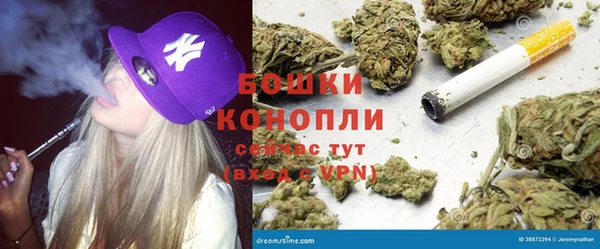 ПСИЛОЦИБИНОВЫЕ ГРИБЫ Алзамай