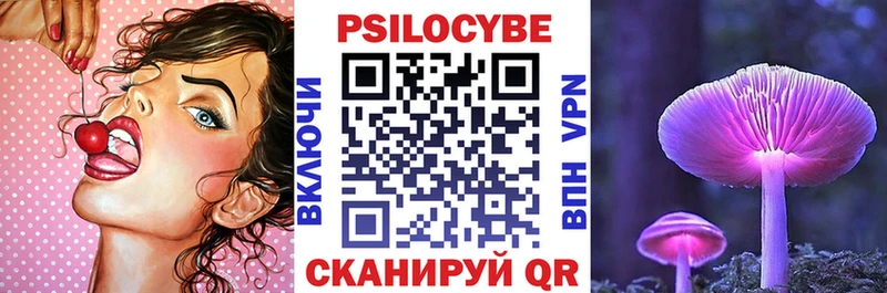 где продают наркотики  Светлоград  Галлюциногенные грибы Psilocybe 